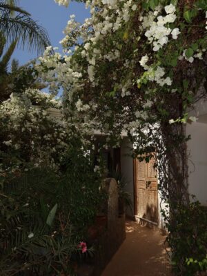 Inès Sberro Instagram - Day 1 au @lespalmiersmarrakech 🤍🌴🌺☀️