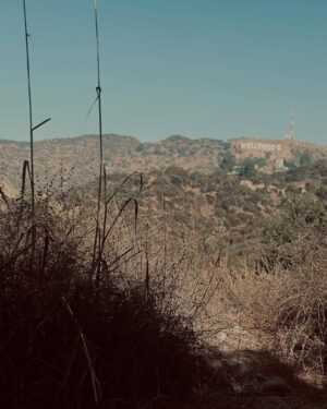 Ingrid Andress Instagram - i re-emerged into society in March. took a look around. decided it wasn’t for me. then got back to writing more music. can’t wait to show you the song babies I’ve been making. so soon. xx