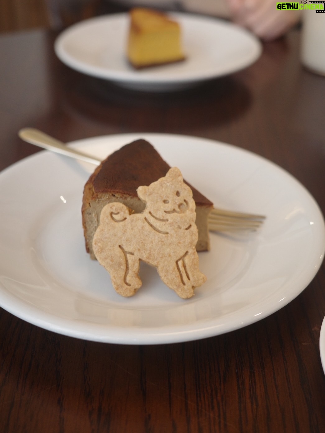 Ito Ohno - 6.1K Likes - 最近行ったカフェ
ほっとするひととき🐕🍪