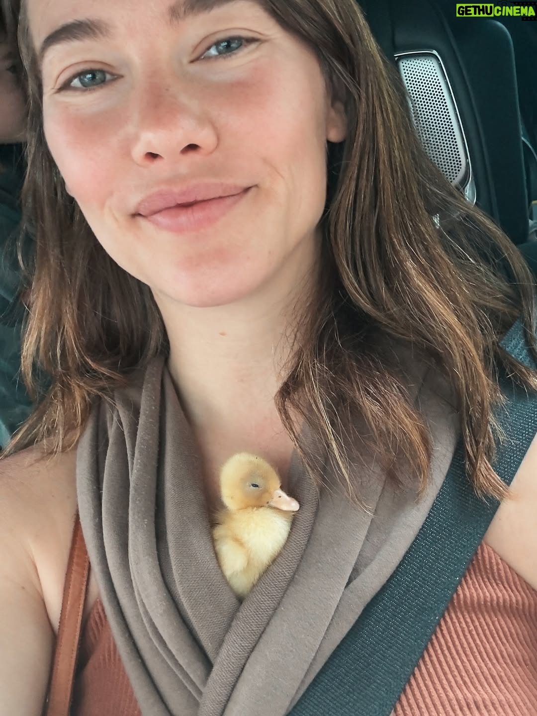 Jacqueline MacInnes Wood - 37.5K Likes - A little slice of paradise ☀️🤍🐥
