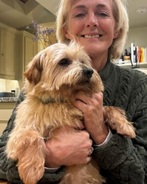 Jane Moore Instagram - There’s a new man in my life…
Meet ‘Cowboy’ - he’s an 8 year-old Norfolk terrier and former stud dog who needed a new home to retire to.
Despite a birth name that’s suggests he’s better suited to a life in the countryside from whence he came, he’s adapted to city life very quickly and is an absolute sweetie.
It’s been over two years since my Tibetan terrier Jasper died and, despite thinking I wouldn’t get another, there was a dog-shaped hole in my life so I decided to take the plunge and give this charming fella a new home.
He’s already got his Christmas hat (photo 2). #norfolkterrier #norfolkterriersofinstagram