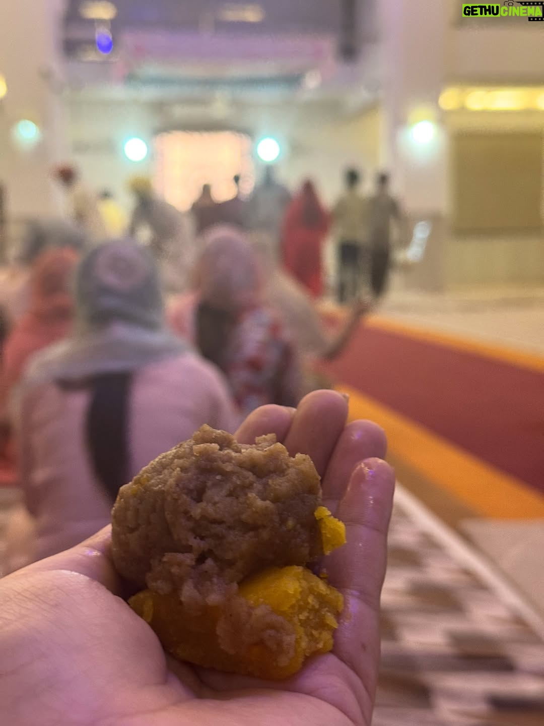 Jasmine Sidhu - 8.4K Likes - Diwali 2025 - Lights, love, and a whole lot of mitha 🪔 

(Diwali 2025, Happy Diwali, Diwali Outfit, happy family, Punjab)