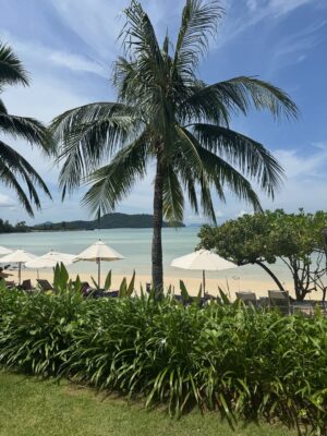 Jasmine Sidhu Instagram - Checked into paradise at Pullman Panwa Beach Resort 🌴✨ Woke up to turquoise waters, spent the day soaking in the views, and ended it with sunsets that felt straight out of a dream. A perfect mix of fun, relaxation, and everything in between — exactly what a staycation should be 💙 @pullmanphuketpanwa 

( travel, wanderlust, vacationmode, instatravel, luxurytravel, beachlife, tropicalescape, paradise, resortlife, summerescape, pullmanpanwa, phuketresorts, phuketthailand, thailandtravel, seaview, beachresort, staycationdiaries, islandvibes, oceanview, holidayvibes, sunsetlovers, travelgram, beachsunset, tropicalvibes, resortstyle )