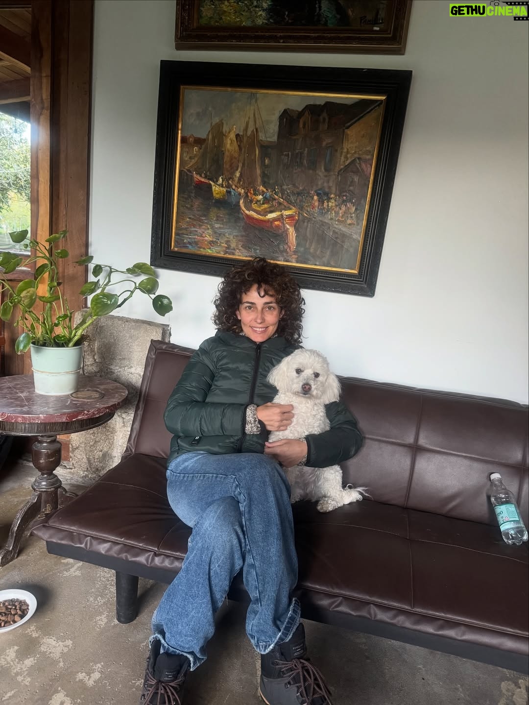 Javiera Díaz de Valdés - 4.4K Likes - Gracias Volcán, gracias Remigio 🐏, gracias perros y gatos, Melania, bosque 🌳, lluvia, fuego, puelche, Curarrehue, cine, vida, equipo, sol, piedras, río, lagos, frío, calor, día, noche, rulos, aceites, aromas, sopaipillas, actores, maestros, Ngen, tierra, patos, gallinas, bandurrias, vivos, muertos, abuela, cansancio, alegría, nervios, paciencia, por darme permiso para ejercer y aprender más y más de mi profesión. Chaltumay, mañum. ♥️
