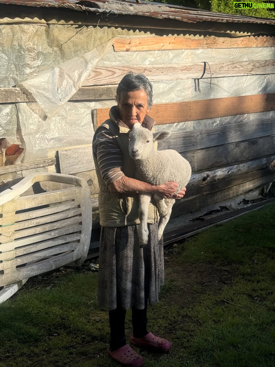 Javiera Díaz de Valdés - 4.4K Likes - Gracias Volcán, gracias Remigio 🐏, gracias perros y gatos, Melania, bosque 🌳, lluvia, fuego, puelche, Curarrehue, cine, vida, equipo, sol, piedras, río, lagos, frío, calor, día, noche, rulos, aceites, aromas, sopaipillas, actores, maestros, Ngen, tierra, patos, gallinas, bandurrias, vivos, muertos, abuela, cansancio, alegría, nervios, paciencia, por darme permiso para ejercer y aprender más y más de mi profesión. Chaltumay, mañum. ♥️
