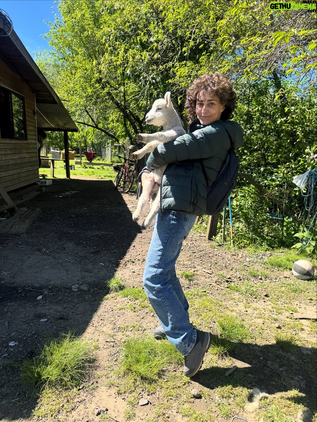 Javiera Díaz de Valdés - 4.4K Likes - Gracias Volcán, gracias Remigio 🐏, gracias perros y gatos, Melania, bosque 🌳, lluvia, fuego, puelche, Curarrehue, cine, vida, equipo, sol, piedras, río, lagos, frío, calor, día, noche, rulos, aceites, aromas, sopaipillas, actores, maestros, Ngen, tierra, patos, gallinas, bandurrias, vivos, muertos, abuela, cansancio, alegría, nervios, paciencia, por darme permiso para ejercer y aprender más y más de mi profesión. Chaltumay, mañum. ♥️