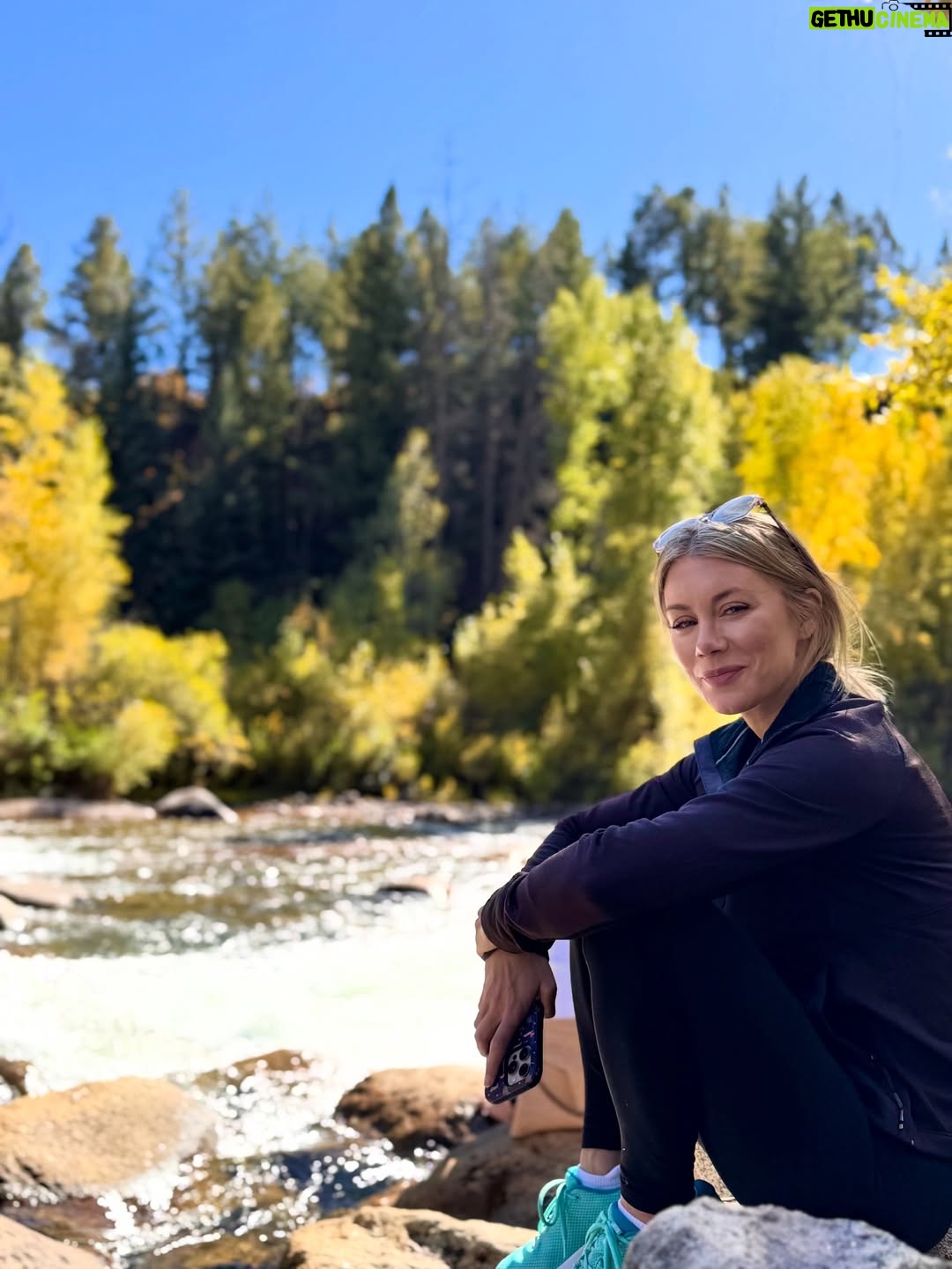 Jennifer Holland - 56.9K Likes - Let’s take this outside. 🌳 🍂 ⛰️ 🍁 🥾
