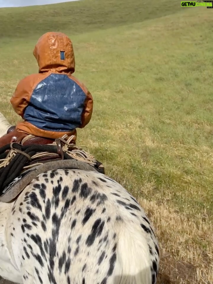 Jennifer Landon - 8.9K Likes - Happy Birthday Buck!
Thanks for teaching me how to cowboy, have fun, and for always being ready to talk video games. 
@me_mycowboys @jrodstunts