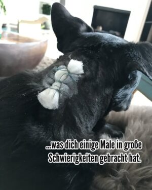 Jennifer Weist Instagram - Ich werde dich unendlich vermissen ❤️