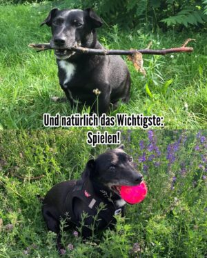 Jennifer Weist Instagram - Ich werde dich unendlich vermissen ❤️