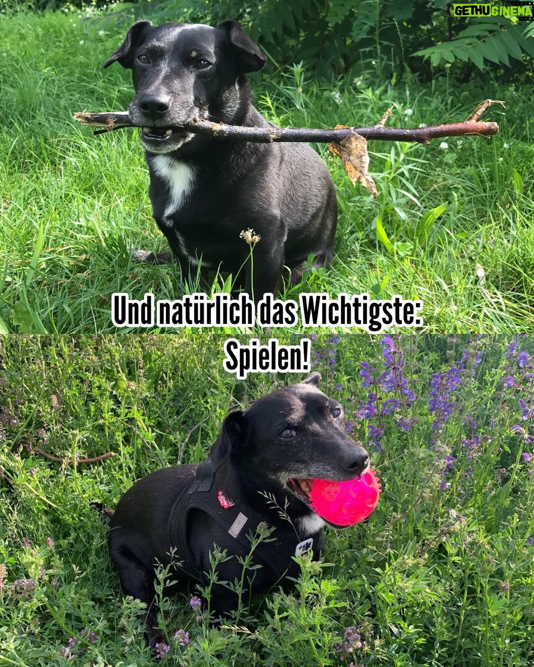Jennifer Weist - 51.7K Likes - Ich werde dich unendlich vermissen ❤️