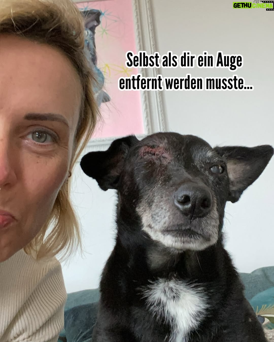 Jennifer Weist - 51.7K Likes - Ich werde dich unendlich vermissen ❤️