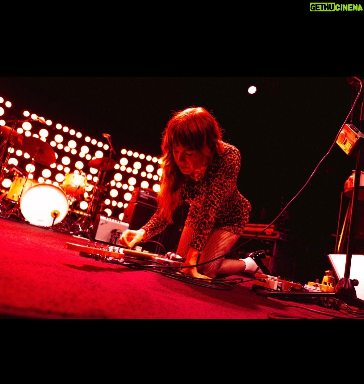 Jenny Lewis - 18.2K Likes - sometimes when you’re on you get to hang with @ringostarrmusic @bourbonandbeyond !  watched @wherethefuckissturgillsimpson out in the wild with the fellers.  lots of great kicks & accessory shots by my fave @penelopemrtnz  nice seeing @keithharingfoundation Julia out in the wild @meijergardens  took a late night stroll of the gardens with the dudes. 
@matthw.francis famous central park raccoon selfie 
oh, and the @grillospickles swag shirt maiden voyage.  BLESS!