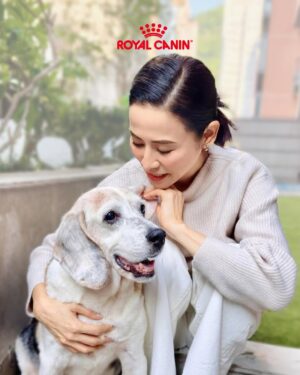Jessica Hsuan Instagram - 颱風之後，我接咗個「暫託失敗」嘅任務，仲升級做咗奴才😆
華加沙來襲前 ，喺Threads見到好多香港人幫手暫託shelter嘅毛孩，當刻感覺都應該要出一分力。打咗兩個唔同shelter嘅電話問，知道後生、冇病冇痛嘅狗狗，都已經俾人暫託晒。剩低喺度等緊人幫手嘅，全部都係老狗，或者係有病、有啲特別需要照顧嘅狗狗。

同姐姐商量過後，我哋兩個都覺得，既然我哋都有照顧老狗同病狗嘅經驗（姐姐仲係照顧病狗嘅能手！），不如就接呢啲最需要幫助嘅小朋友啦。就係咁，我哋就決定咗暫託細佬。

後來接左佢之後同shelter了解多啲，先知細佬原來舊年因為前主人要移民，所以被送咗入嚟。聽到呢度，個心真係「噏」一下，即刻同姐姐講：「唔得啦，我唔捨得送返佢返去shelter喇。」我只係想佢喺最後呢段日子，可以食得飽、瞓得好、過得開心。就係咁，我正式宣佈：我今次「暫託」任務，失敗喇！ 我要陪佢到尾。

細佬嘅日常，就係食、瞓、poopoo。
細佬已經14歲，每日大部分時間都好安靜咁瞓覺，係一隻好乖嘅老寶寶。佢食飯好開心，胃口仲好好，便便都好靚，身體底子原來唔錯。為咗安心，我第一時間帶佢去獸醫做body check。報告出嚟，總算放心晒，身體大致正常，只係眼睛同耳朵有少少發炎，即刻開始幫佢滴藥處理。至於體能呢，佢就有一般熟齡狗嘅問題，後腳有啲冇力，行路慢吞吞——不過，一見到食物或者零食，對腳即刻充滿力量，行快兩步都得！ 真係現實到不得了，笑死我。

既然身體冇大礙，我哋就開始幫佢從飲食入手，養好佢個老身體。目標好明確：唔好俾佢過重，同埋要提升活力同免疫力（同我哋人老咗要保養一樣㗎嘛！）。我揀咗Royal Canin 嘅熟齡犬系列狗糧俾佢。

點解揀Royal Canin呢？因為佢呢款糧係專為年長狗狗設計，針對老年期常見嘅健康需要，配方科學、營養均衡，幫助狗狗延緩衰老、保持活力。

1️⃣維持活力與免疫力 - 配方入面含有 EPA、DHA同抗氧化維他命 C、E，有助減低體內慢性炎症、提升免疫系統功能，等年長狗狗冇咁易病，精神都好啲。Omega-3 好野嚟㗎！仲可以改善細佬嘅皮膚狀況，減少乾燥痕癢，令佢地啲毛髮保持強韌有光澤。

2️⃣關節同肌肉保健 - 對年紀大嘅狗狗嚟講，關節問題好常見。Royal Canin 配方加入咗適量礦物質同關節營養素，幫助保持骨骼健康，同時有優質蛋白質，幫助維持肌肉量，等佢哋行得輕鬆啲、活動力高啲，見到零食跑得再快啲🤣。

3️⃣控制體重同時促進消化健康 - 年長狗狗會郁少好多，如果攝取太多熱量好容易變肥，雖然好可愛，但係會加重關節負擔。呢款糧控制咗熱量，食咗都Keep到Fit。而且用咗高消化率蛋白質，加埋均衡膳食纖維，幫助消化系統運作正常，減少軟便或腸胃不適，對好似細佬咁嘅大狗特別有幫助㗎。

而家嘅細佬，就係一位退休老爺。
佢每日主要任務就係瞓覺、等食、散步同便便。佢性格比較「狗本位」，鍾意同狗玩多過同人玩，所以我同姐姐都好有自知之明——我哋喺佢心目中，大概就係兩個負責開罐頭、清便便嘅「高級奴才」。😂

不過，真係冇所謂㗎。佢愛唔愛我，其實一啲都唔重要。我最想見到嘅，係佢每日瞓得安樂、食得滋味、便得暢順。只要佢過得開心，我就會跟住開心。 能夠陪住一個曾經被放棄嘅老靈魂，安安穩穩咁過日子，已經係我收到最好嘅禮物。❤️

希望細佬嘅故事，可以令更多人考慮幫助一啲年紀大、或者有特別需要嘅動物。佢哋嘅愛，一樣好純粹，好溫暖。

#RoyalCaninHK #獸醫推薦品牌 #熟齡系列 #一世寵幸世一健康 #全方位守護熟齡所需
@royalcaninhk