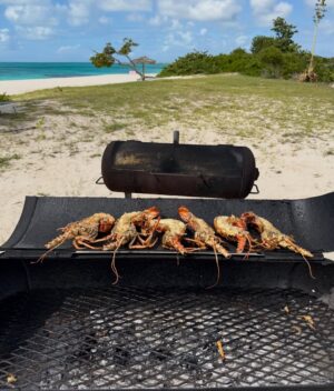 Jewel Instagram - #Barbuda for a few days of sun before more winter snow