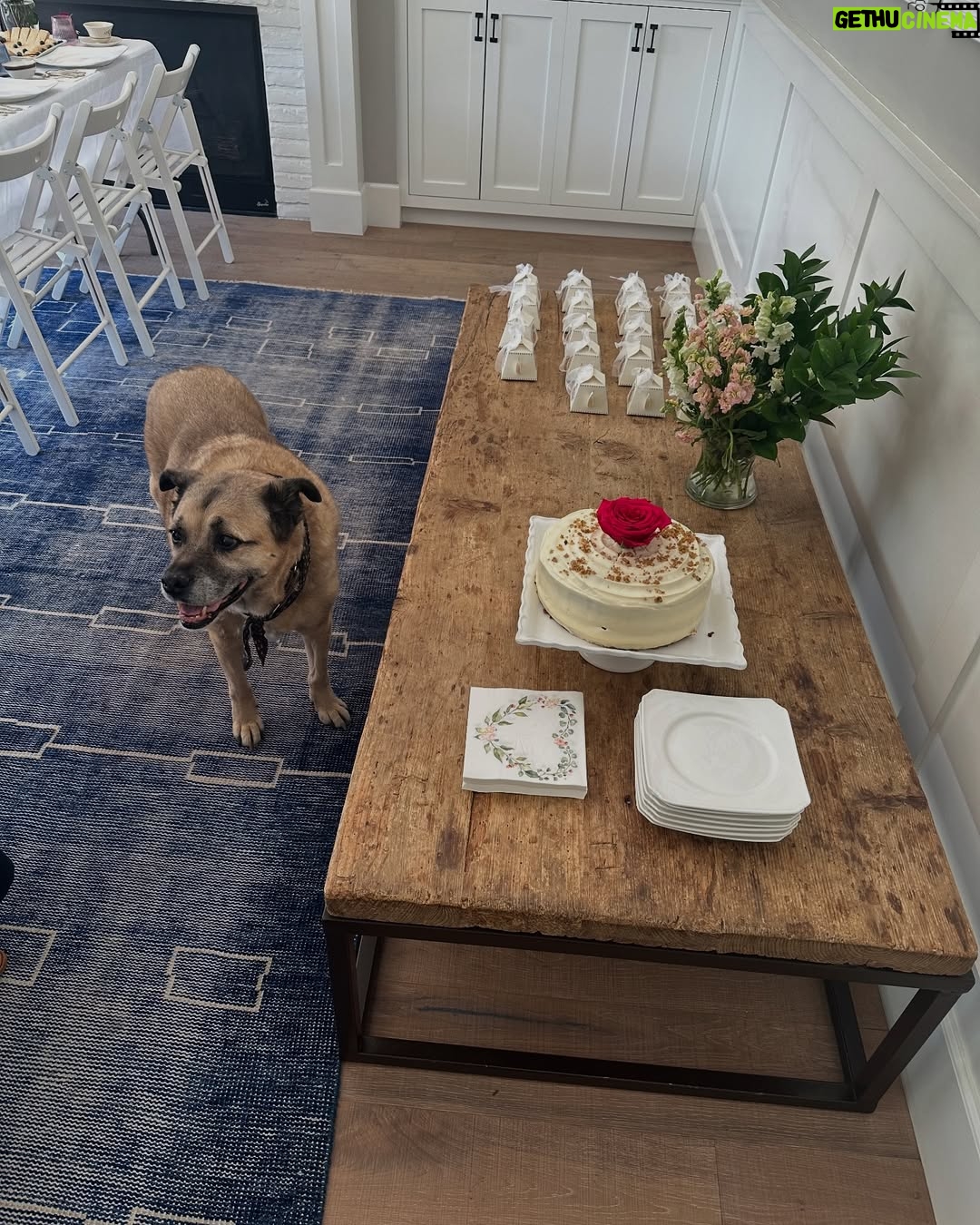 Jillian Bell - 4.1K Likes - Yesterday I was surrounded by some wonderful friends at my bridal shower. It was an absolute dream and I can’t express enough gratitude to my best friend and sister, @breannalbell ❤️❤️❤️ She made something so special and it made me cry. Best day. I can’t wait to marry my dream man. 🥰🥰🥰