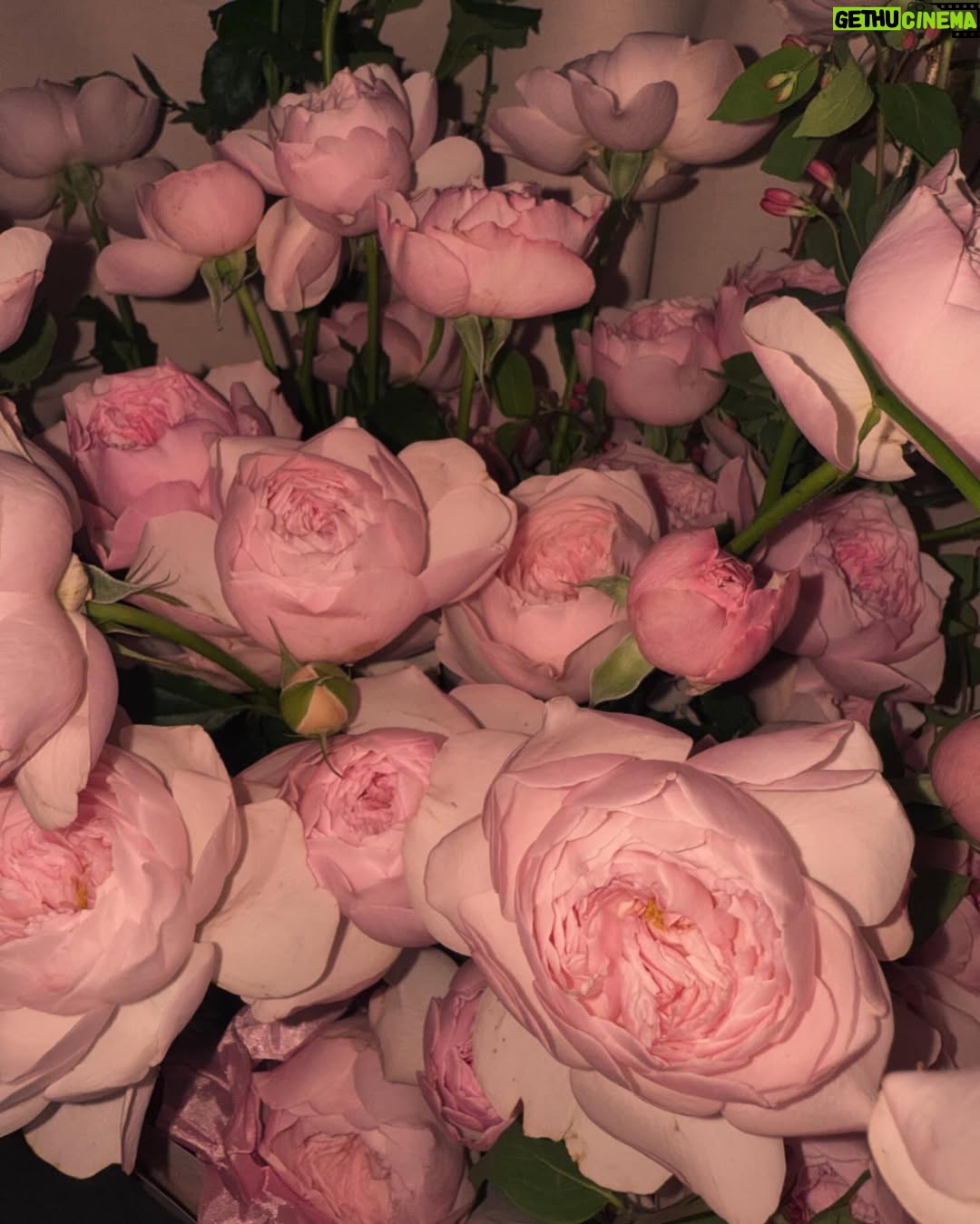 Jo Hye-joo - 225.8K Likes - april 🎂🪐🌹🤍