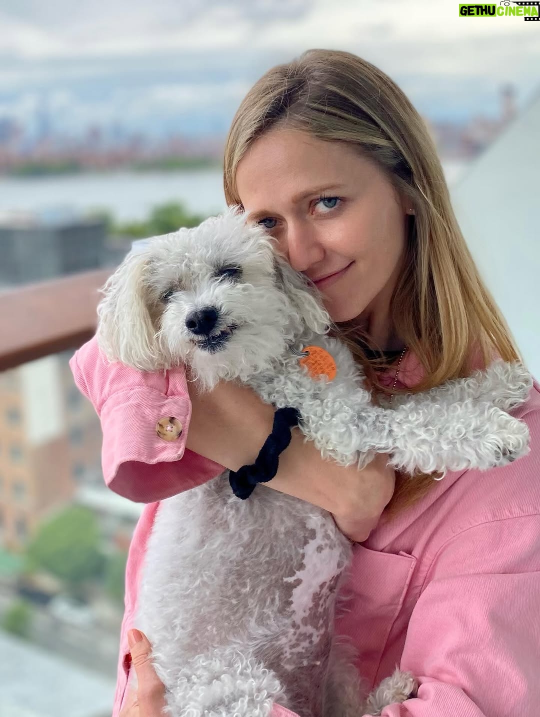 Johanna Braddy - 3.6K Likes - 💔 Our darling girl left us for heaven. I really don’t have the words to express how much we love her.
If you don’t know her story, here it is, along with a look at our time with her. Best time of our lives. She stared out as a hospice foster. We adopted her from @royalanimalrefuge when she was 12 years old. She was only supposed to live another month or so. She ended up having a large risky surgery from the amazing people @happytailsanimalhospital_ and it changed her life. She had been seen by multiple vets  who wouldn’t do the surgery. I slept on the floor with her for a month while she recovered. She was such a fighter. And boy once she recovered, she was a force to be reckoned with. We then got 4 1/2 more beautiful years with her. She’s come absolutely everywhere with us. My little shadow. Every room I went into, every shopping trip, every golf cart ride, every road trip. If there was somewhere we couldn’t take her, she went to grandma’s house. She didn’t like being alone and we never wanted her to feel that. 17 years young. She was the most zesty loving spirit. I can’t believe she’s gone but I’m so grateful we were lucky enough to live out her golden years with her. Such a blessing that she trusted us and loved us. 
Our little wolf. Our bed buddy, our life long love.
We miss you and love you forever. @adventuresofaddygirl