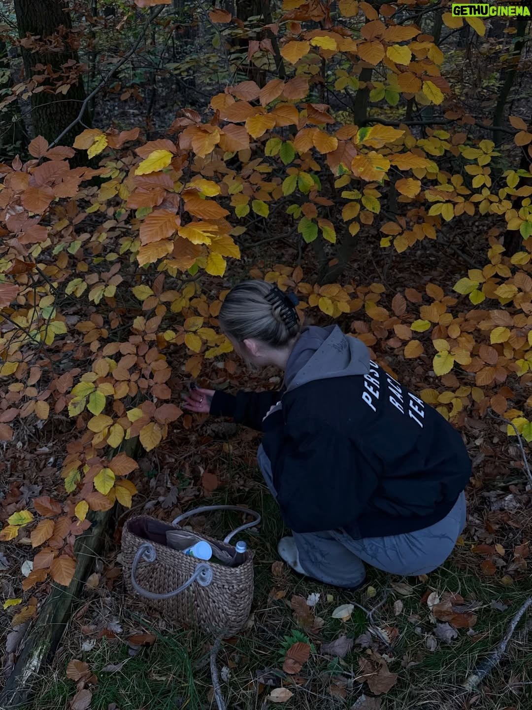 Julia Wulf - 15.2K Likes - Irgendwie sind dieses Jahr die Winter Depris ausgeblieben