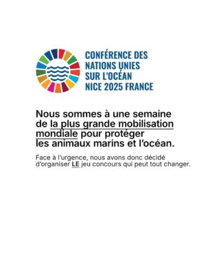 Juliette Binoche Instagram - 🚨 UPDATE 1 : concours maintenu jusqu’au 12/06/2025. 

UPDATE 2 : ÉNORME ! Gagnez un déjeuner avec… @francoiscivilofficiel (oui c’est fou, il s’engage lui aussi à nos côtés en participant à notre jeu concours pour l’océan et les animaux marins)

Lisez notre post jusqu’au bout (très important, vous verrez!) et participez au jeu-concours le plus important de l’année ! 

⚡️Comment participer ? 

1. Likez et partagez ce post
 
2.Taguez 3 amis en commentaire 

3. Abonnez-vous à @claire_nouvian 
et à @bloom_association 

Fin du jeu-concours le 12/06/2025 et résultats dans la foulée. 

C’est peut-être la seule fois de notre vie qu’une conférence de l’ONU sur l’océan se tiendra en France. 

Elle aura lieu dans à partir du 9 juin. Elle est capitale pour notre avenir et celui des générations futures.

L’urgence est là. Le compte à rebours est lancé. 

Si vous vous souciez des animaux marins et du climat, c’est maintenant ou jamais pour agir.

Soyons la voix des millions d’animaux marins anéantis dans l’indifférence générale, soyons le bras armé des générations futures dont on foule l’avenir aux pieds. 

NON au massacre des animaux marins. 
NON à la dévastation de l’océan et du climat. 
NON à la pêche industrielle destructrice. 

Nous comptons sur vous 💙

Claire et toute l’équipe de BLOOM