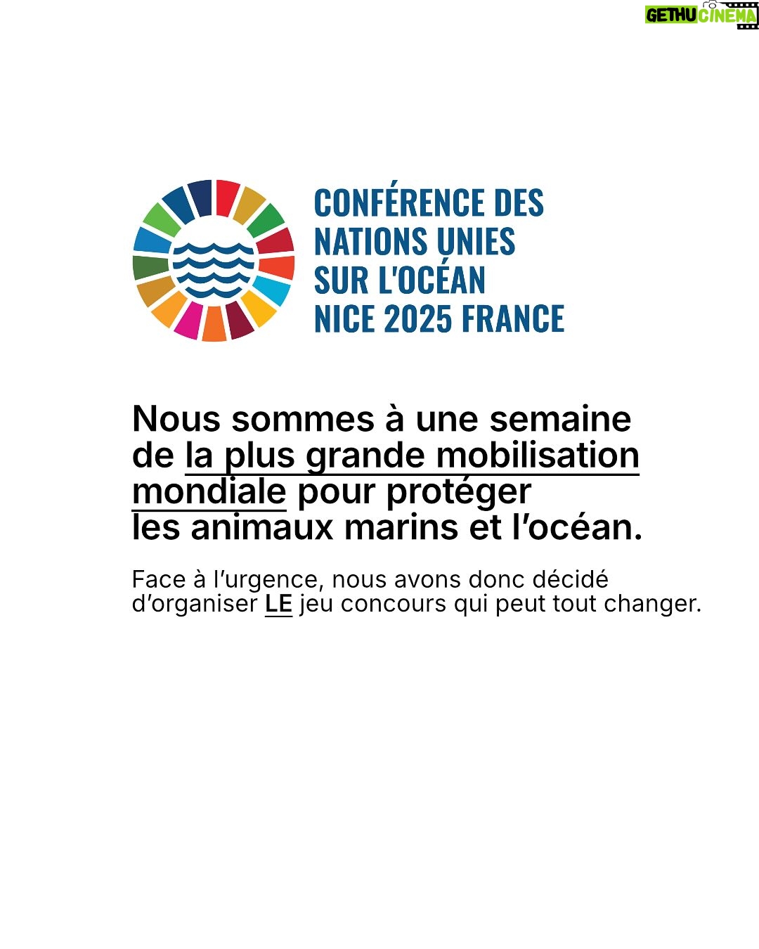 Juliette Binoche - 27.2K Likes - 🚨 UPDATE 1 : concours maintenu jusqu’au 12/06/2025. 

UPDATE 2 : ÉNORME ! Gagnez un déjeuner avec… @francoiscivilofficiel (oui c’est fou, il s’engage lui aussi à nos côtés en participant à notre jeu concours pour l’océan et les animaux marins)

Lisez notre post jusqu’au bout (très important, vous verrez!) et participez au jeu-concours le plus important de l’année ! 

⚡️Comment participer ? 

1. Likez et partagez ce post
 
2.Taguez 3 amis en commentaire 

3. Abonnez-vous à @claire_nouvian 
et à @bloom_association 

Fin du jeu-concours le 12/06/2025 et résultats dans la foulée. 

C’est peut-être la seule fois de notre vie qu’une conférence de l’ONU sur l’océan se tiendra en France. 

Elle aura lieu dans à partir du 9 juin. Elle est capitale pour notre avenir et celui des générations futures.

L’urgence est là. Le compte à rebours est lancé. 

Si vous vous souciez des animaux marins et du climat, c’est maintenant ou jamais pour agir.

Soyons la voix des millions d’animaux marins anéantis dans l’indifférence générale, soyons le bras armé des générations futures dont on foule l’avenir aux pieds. 

NON au massacre des animaux marins. 
NON à la dévastation de l’océan et du climat. 
NON à la pêche industrielle destructrice. 

Nous comptons sur vous 💙

Claire et toute l’équipe de BLOOM