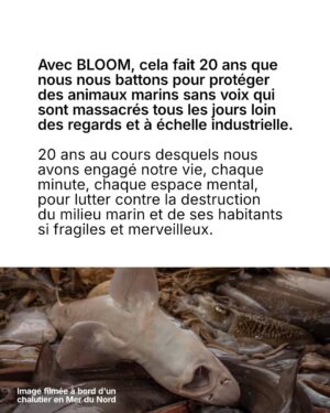 Juliette Binoche Instagram - 🚨 UPDATE 1 : concours maintenu jusqu’au 12/06/2025. 

UPDATE 2 : ÉNORME ! Gagnez un déjeuner avec… @francoiscivilofficiel (oui c’est fou, il s’engage lui aussi à nos côtés en participant à notre jeu concours pour l’océan et les animaux marins)

Lisez notre post jusqu’au bout (très important, vous verrez!) et participez au jeu-concours le plus important de l’année ! 

⚡️Comment participer ? 

1. Likez et partagez ce post
 
2.Taguez 3 amis en commentaire 

3. Abonnez-vous à @claire_nouvian 
et à @bloom_association 

Fin du jeu-concours le 12/06/2025 et résultats dans la foulée. 

C’est peut-être la seule fois de notre vie qu’une conférence de l’ONU sur l’océan se tiendra en France. 

Elle aura lieu dans à partir du 9 juin. Elle est capitale pour notre avenir et celui des générations futures.

L’urgence est là. Le compte à rebours est lancé. 

Si vous vous souciez des animaux marins et du climat, c’est maintenant ou jamais pour agir.

Soyons la voix des millions d’animaux marins anéantis dans l’indifférence générale, soyons le bras armé des générations futures dont on foule l’avenir aux pieds. 

NON au massacre des animaux marins. 
NON à la dévastation de l’océan et du climat. 
NON à la pêche industrielle destructrice. 

Nous comptons sur vous 💙

Claire et toute l’équipe de BLOOM