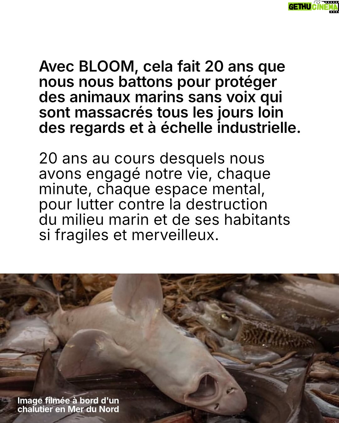 Juliette Binoche - 27.2K Likes - 🚨 UPDATE 1 : concours maintenu jusqu’au 12/06/2025. 

UPDATE 2 : ÉNORME ! Gagnez un déjeuner avec… @francoiscivilofficiel (oui c’est fou, il s’engage lui aussi à nos côtés en participant à notre jeu concours pour l’océan et les animaux marins)

Lisez notre post jusqu’au bout (très important, vous verrez!) et participez au jeu-concours le plus important de l’année ! 

⚡️Comment participer ? 

1. Likez et partagez ce post
 
2.Taguez 3 amis en commentaire 

3. Abonnez-vous à @claire_nouvian 
et à @bloom_association 

Fin du jeu-concours le 12/06/2025 et résultats dans la foulée. 

C’est peut-être la seule fois de notre vie qu’une conférence de l’ONU sur l’océan se tiendra en France. 

Elle aura lieu dans à partir du 9 juin. Elle est capitale pour notre avenir et celui des générations futures.

L’urgence est là. Le compte à rebours est lancé. 

Si vous vous souciez des animaux marins et du climat, c’est maintenant ou jamais pour agir.

Soyons la voix des millions d’animaux marins anéantis dans l’indifférence générale, soyons le bras armé des générations futures dont on foule l’avenir aux pieds. 

NON au massacre des animaux marins. 
NON à la dévastation de l’océan et du climat. 
NON à la pêche industrielle destructrice. 

Nous comptons sur vous 💙

Claire et toute l’équipe de BLOOM