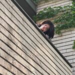 Jung In-sun