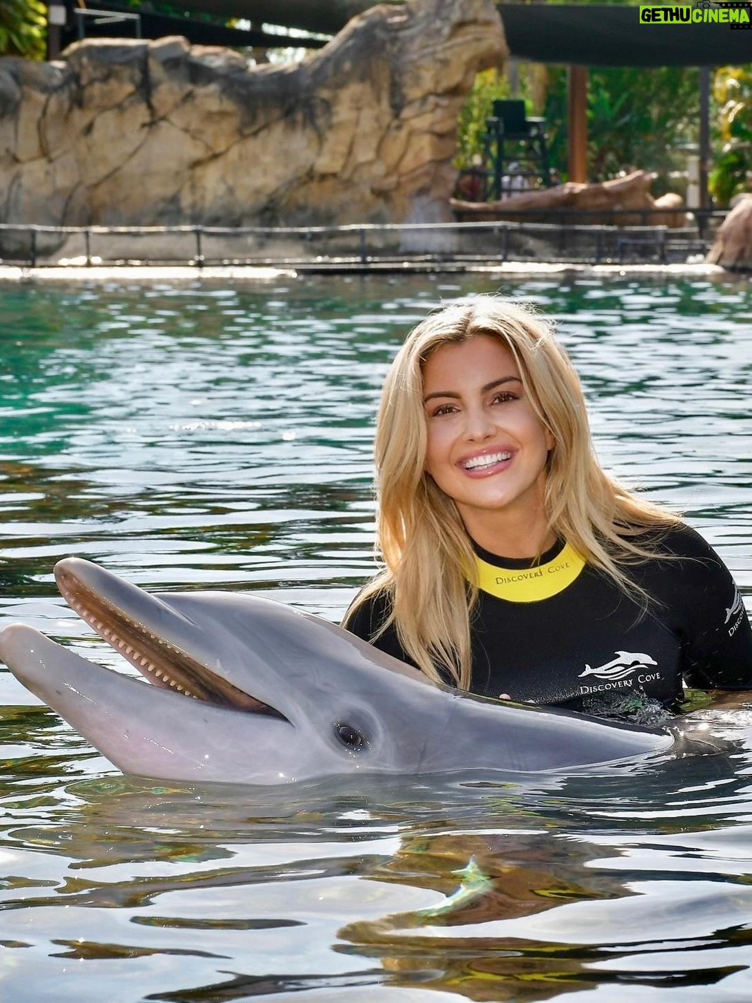 Kathryn Dunn - 2.7K Likes - Still smiling after my first @otecelebrityweekend 💙

We helped raise money for the Texas Children’s Cancer Fund, met the kindest fans, hung with our Big Brother   Amazing Race fam, and I even swam with dolphins at @discoverycove! Feeling so grateful for this wild life that I now get to share with my partner in crime, @jromophotography 🥰

And of course… scroll to the end to see what I conspired up this time✨😌

#bigbrother #theamazingrace #bb27 #tar38
