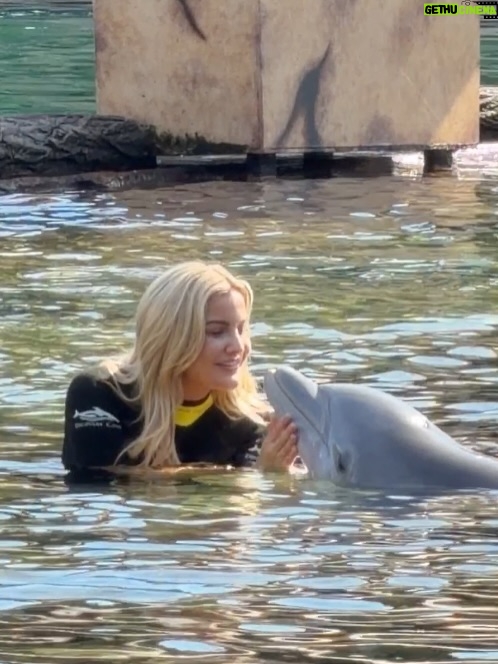 Kathryn Dunn - 2.7K Likes - Still smiling after my first @otecelebrityweekend 💙

We helped raise money for the Texas Children’s Cancer Fund, met the kindest fans, hung with our Big Brother   Amazing Race fam, and I even swam with dolphins at @discoverycove! Feeling so grateful for this wild life that I now get to share with my partner in crime, @jromophotography 🥰

And of course… scroll to the end to see what I conspired up this time✨😌

#bigbrother #theamazingrace #bb27 #tar38