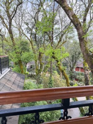 Kaustubha Mani Instagram - Blooming with nature…
#artist #nature #green #newphase #vacation #muchneededbreak #newmom #babygirl #babylove #explore #experience #live #love #rain