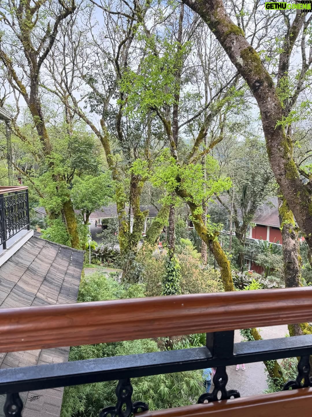 Kaustubha Mani - 24.9K Likes - Blooming with nature… 

#artist #nature #green #newphase #vacation #muchneededbreak #newmom #babygirl #babylove #explore #experience #live #love #rain