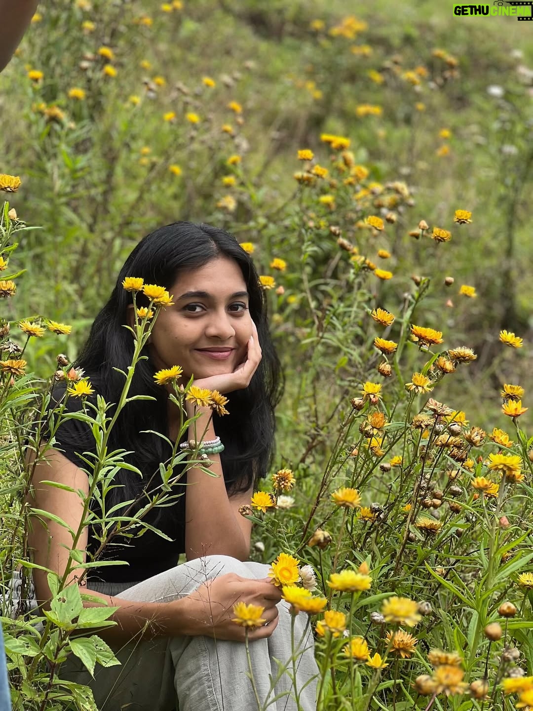 Keerthana Sreekumar - 21.1K Likes - And find the place where every single thing you see tells you to stay

#vattavada
