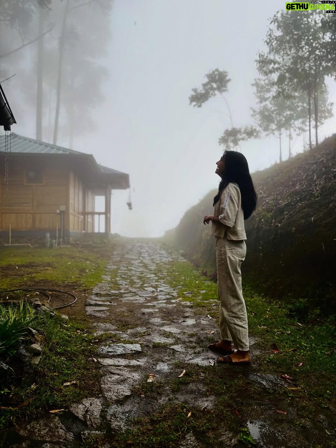 Keerthana Sreekumar - 21.1K Likes - And find the place where every single thing you see tells you to stay

#vattavada