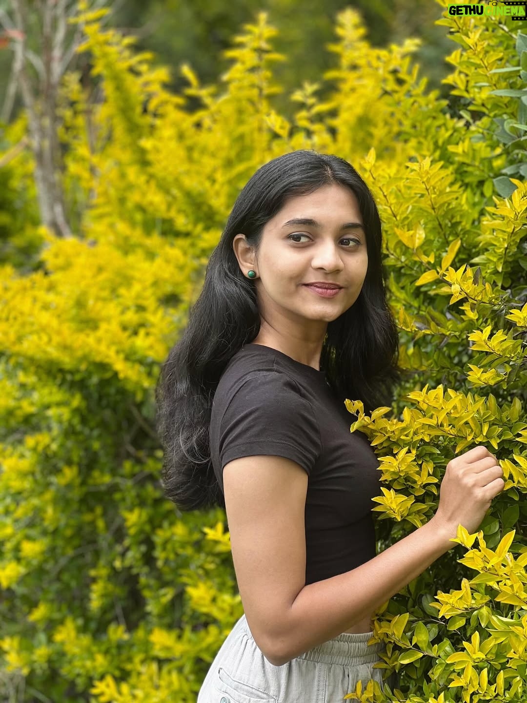 Keerthana Sreekumar - 21.1K Likes - And find the place where every single thing you see tells you to stay

#vattavada