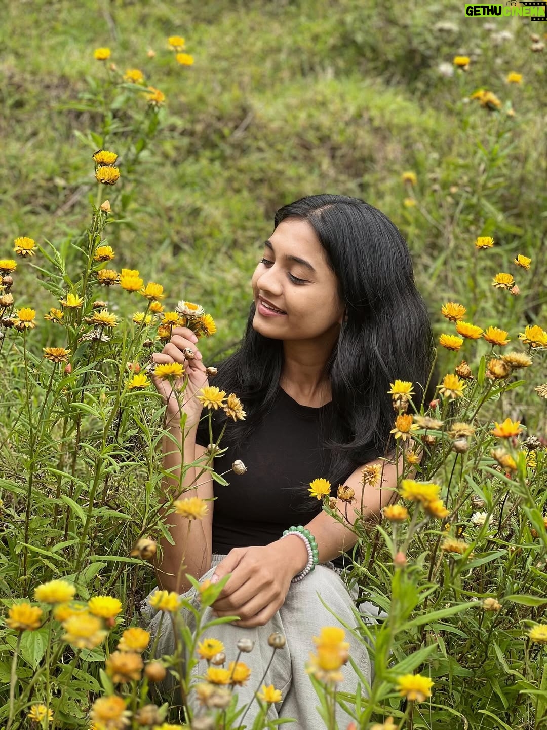 Keerthana Sreekumar - 21.1K Likes - And find the place where every single thing you see tells you to stay

#vattavada