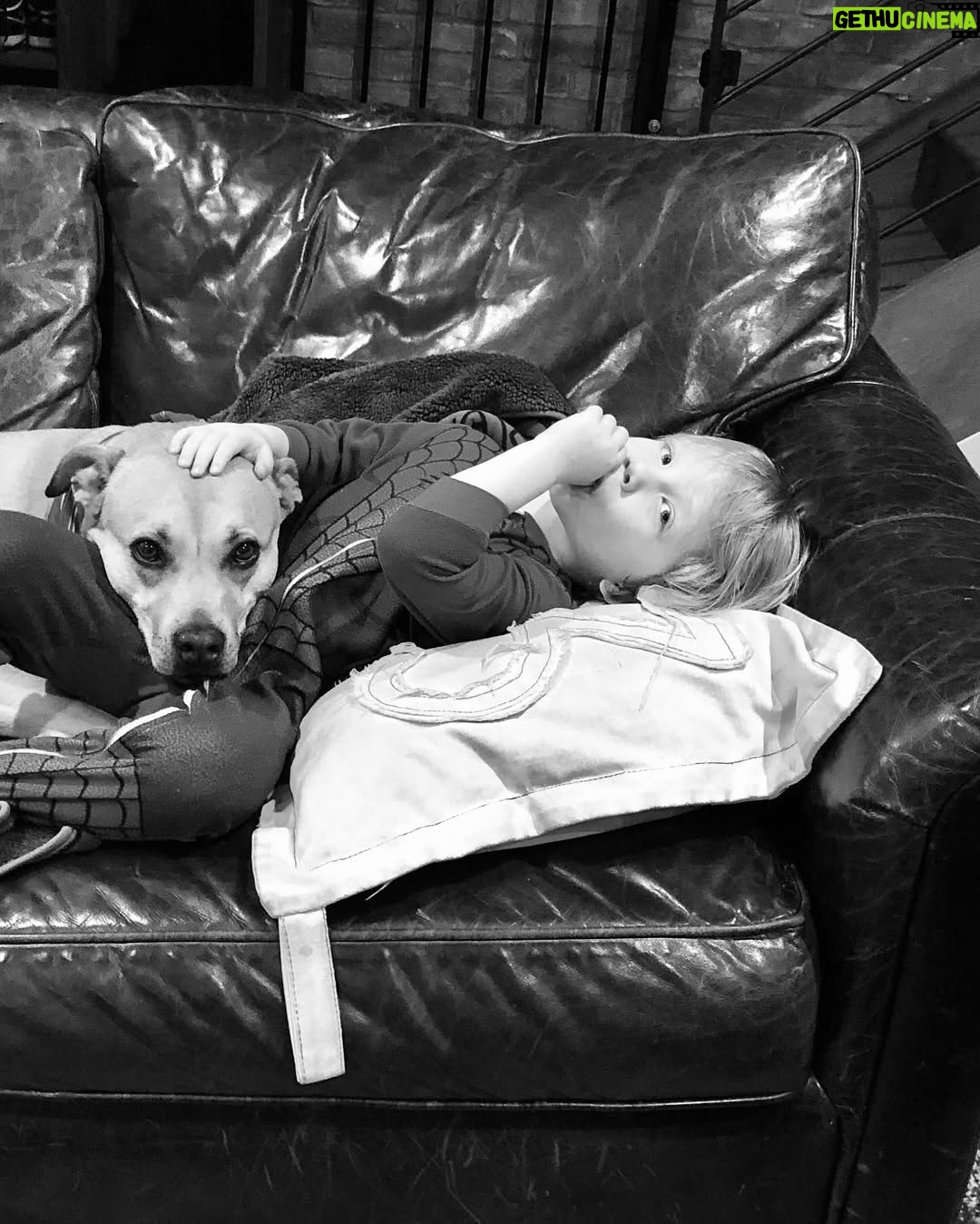 Kelli Giddish - 54.2K Likes - lost my girl yesterday.  she’s been by my side every step for nearly 15 years.  wise, warm, gentle but our family’s fierce protector.  my protector and confidante.
i don’t really have the words to say every thing that she meant to me- so much love in my heart and hers, we found each other- and that’s what i’m beyond thankful for.