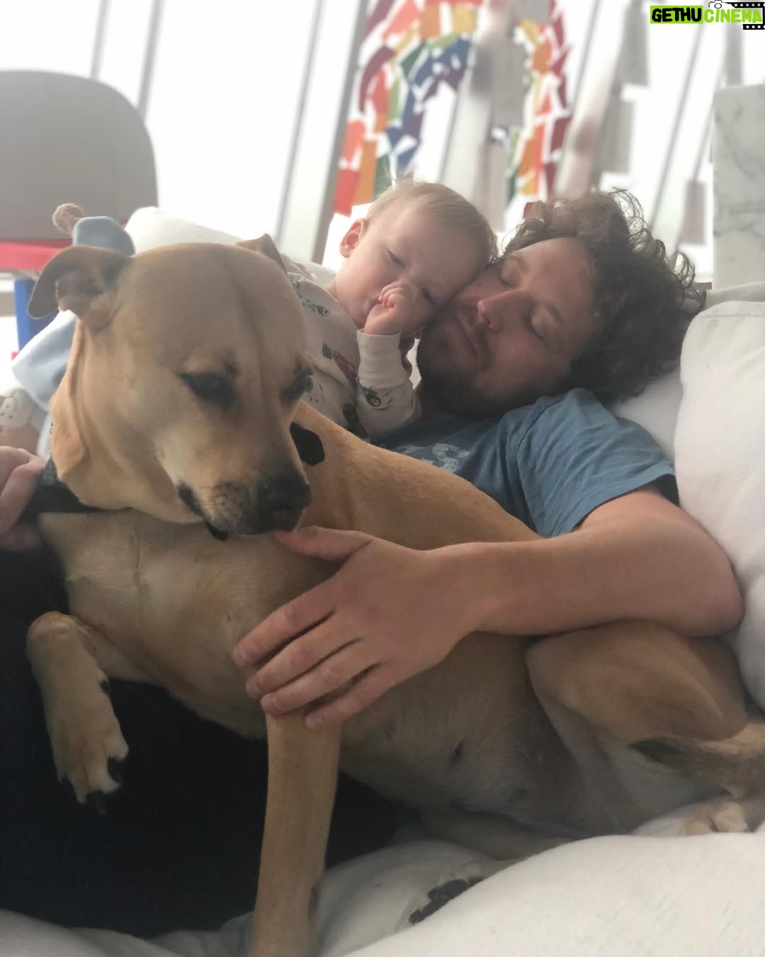 Kelli Giddish - 54.2K Likes - lost my girl yesterday.  she’s been by my side every step for nearly 15 years.  wise, warm, gentle but our family’s fierce protector.  my protector and confidante.
i don’t really have the words to say every thing that she meant to me- so much love in my heart and hers, we found each other- and that’s what i’m beyond thankful for.
