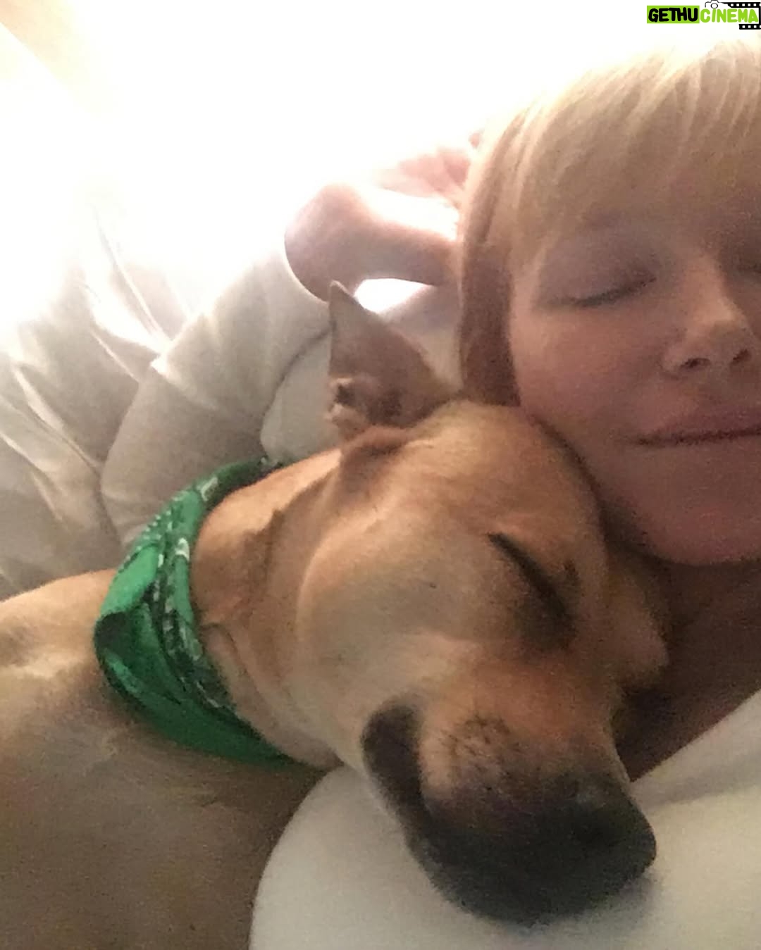 Kelli Giddish - 54.2K Likes - lost my girl yesterday.  she’s been by my side every step for nearly 15 years.  wise, warm, gentle but our family’s fierce protector.  my protector and confidante.
i don’t really have the words to say every thing that she meant to me- so much love in my heart and hers, we found each other- and that’s what i’m beyond thankful for.