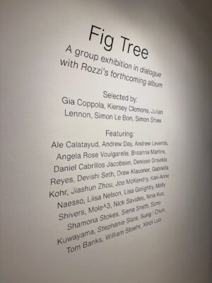 Kiersey Clemons Instagram - @kismithgallery @thisisrozzi