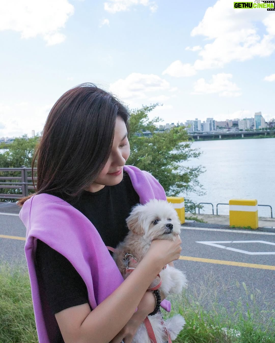 Kim Ha-neul - 19.7K Likes - 🐕🐾🥰