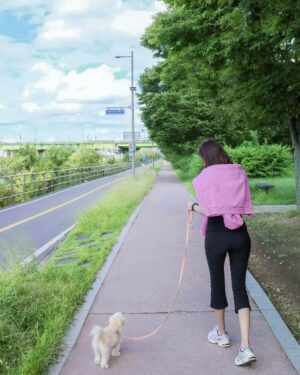 Kim Ha-neul Instagram - 🐕🐾🥰