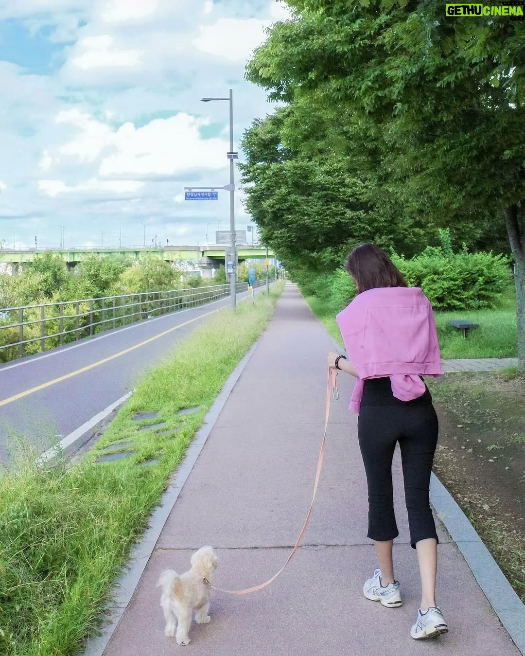 Kim Ha-neul - 19.7K Likes - 🐕🐾🥰
