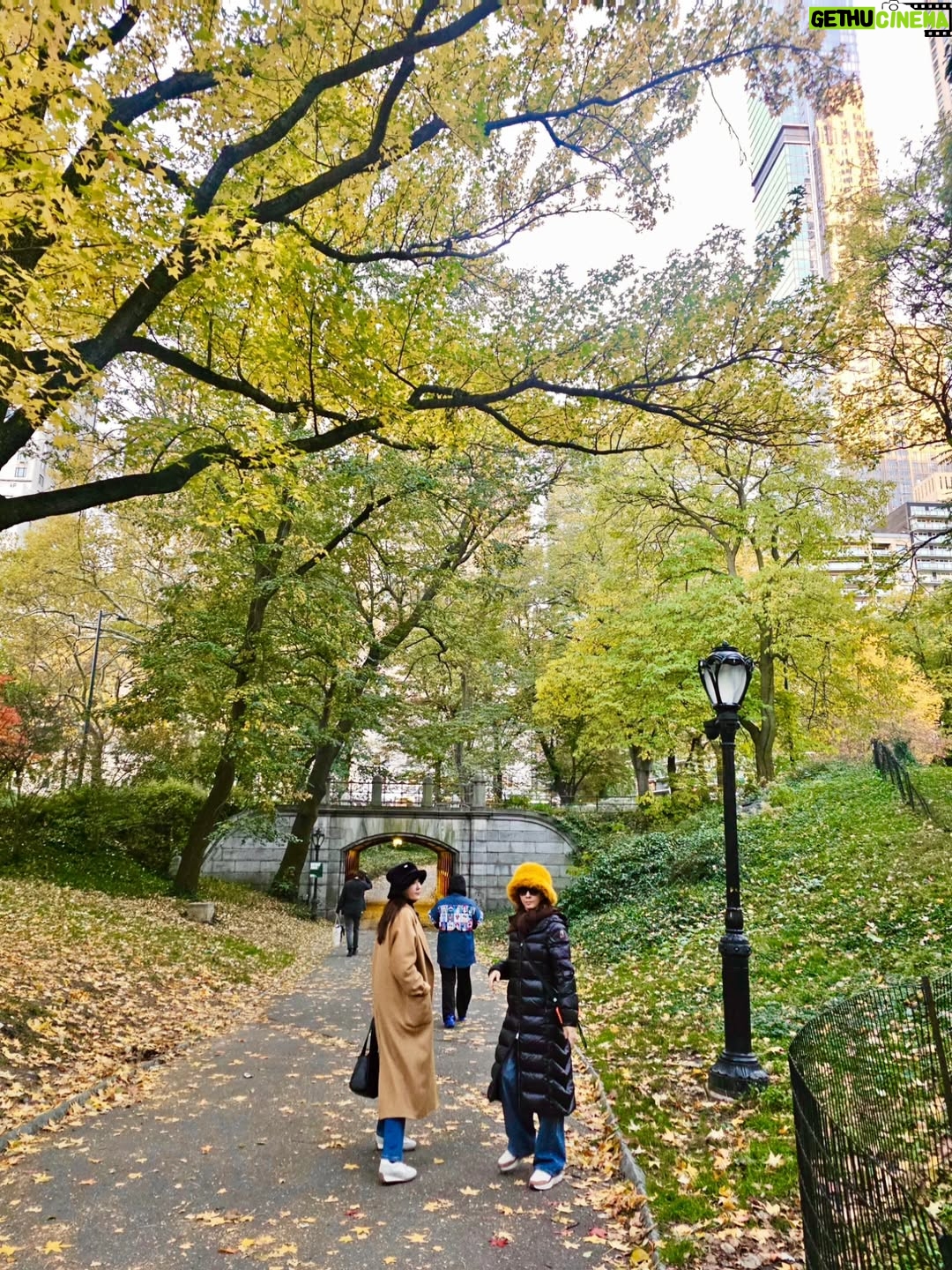 Kim Wan-sun - 5.8K Likes - 사진이.. 아직도 많네.. 🤭 남는 건 사진 뿐.. ㅍㅎ
#newyork
@jangluha_ji_young 
@kelly_inscapedesign