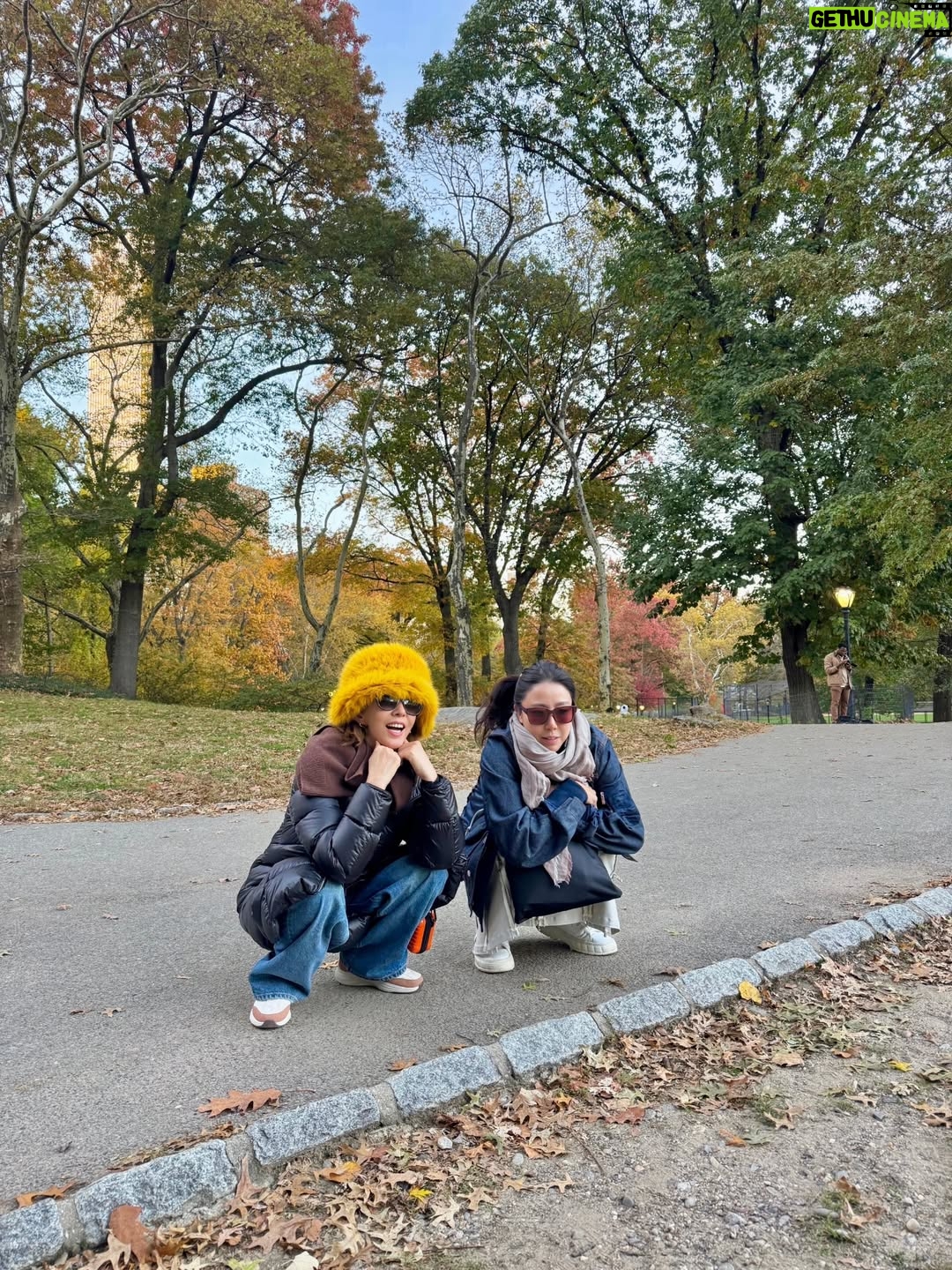 Kim Wan-sun - 5.8K Likes - 사진이.. 아직도 많네.. 🤭 남는 건 사진 뿐.. ㅍㅎ
#newyork
@jangluha_ji_young 
@kelly_inscapedesign