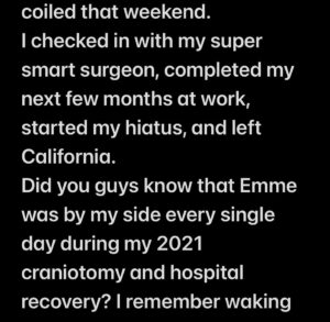 Kirsten Storms Instagram - I wanted to post this because even though my brain seems to be sorta lowkey rebelling against me, it does allow me to understand that we’ve all got times when things aren’t great. If we can, we will do our best to do what is best for ourselves and loved ones. Since I knew what an aneurysm was, the scan in January majorly freaked me out. A few days after I was discharged from the hospital, someone created a blog post that said I was in the hospital that weekend because I tried to “unalive” myself. I couldn’t understand why a person would makeup something that terrible, when they had no idea why I was really there. There are a few really bad apples out there. We all know that…but there are people in my life who I am truly thankful to know. One of those individuals just made a sh*t load of sweaters with me. They are glorious. 😍@EmmeRylan @kirstenandemme #CrochetingIsGoodForTheBrain #KickinIt