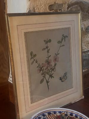 Kirstie Allsopp Instagram - My bath this morning, when I was a child my mother had to put up with me sitting on her bathroom floor chatting away while she got ready for the day, she never shooed me away. She was a brilliant picture framer, the flowers she painted, framed & mounted, she also framed this drawing by Cecil Beaton that you can see @hawardenestate, and the photograph was taken by Cecil of my Mum, she later found it in a drawer and framed and mounted it herself.  She was also a huge Neil Diamond fan and lived in New York in the late sixties.