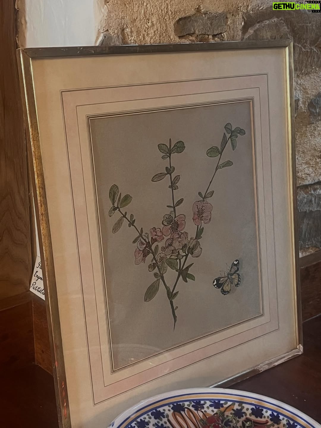 Kirstie Allsopp - 17.6K Likes - My bath this morning, when I was a child my mother had to put up with me sitting on her bathroom floor chatting away while she got ready for the day, she never shooed me away. She was a brilliant picture framer, the flowers she painted, framed & mounted, she also framed this drawing by Cecil Beaton that you can see @hawardenestate, and the photograph was taken by Cecil of my Mum, she later found it in a drawer and framed and mounted it herself.  She was also a huge Neil Diamond fan and lived in New York in the late sixties.
