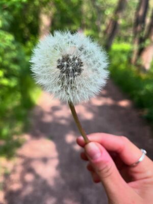 Kristina Tonteri-Young Instagram - Thanks May, you were a-May-zing! Moving, seeing my friends succeed, Cannes Film Festival etc., this month just kept giving! Xx ✨🌸✨