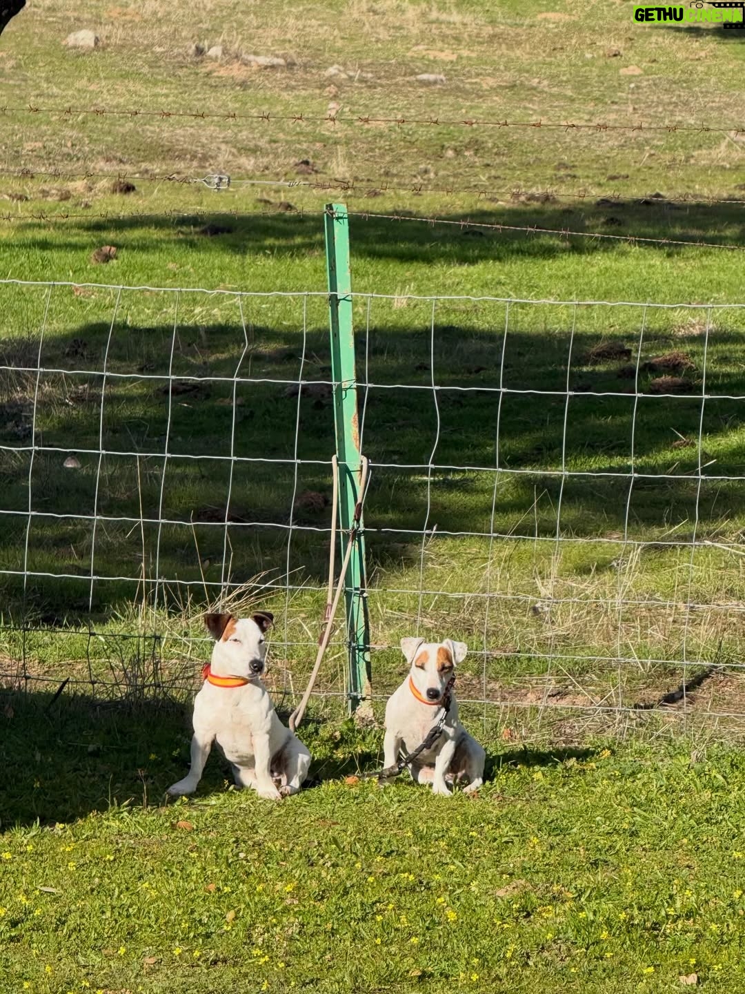 Laura Sánchez - 6.3K Likes - Día de campo con el tío más guapo del mundo mundial…@manuel.escribano y cuadrilla!!! @felipe__proenza @jlneiro @gutierrezperalta8 #currorobles #jaralta